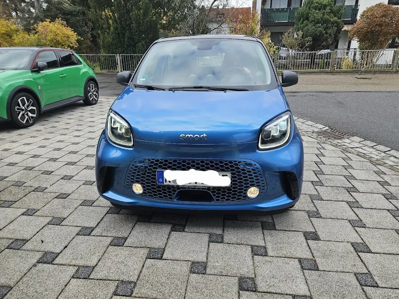 Foto von Ringo
