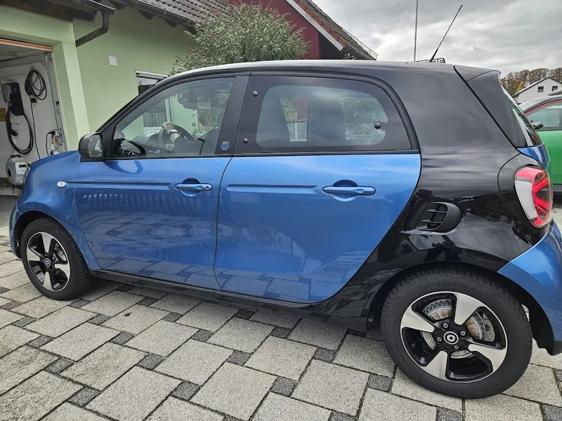 Foto von Ringo